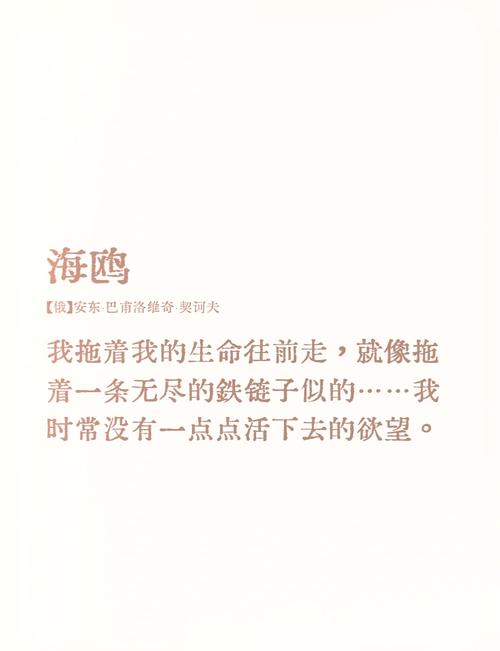 梦见海鸥象征意义揭秘4个心理学重要解读