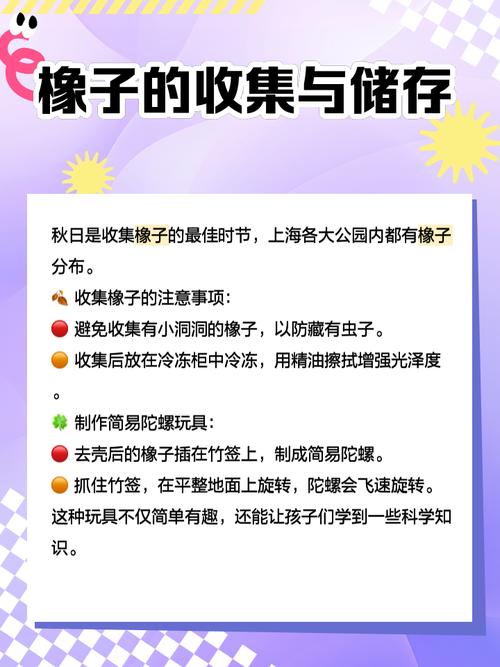 梦见橡子预示哪些？解读梦境心理与生活启示的高效解决方案