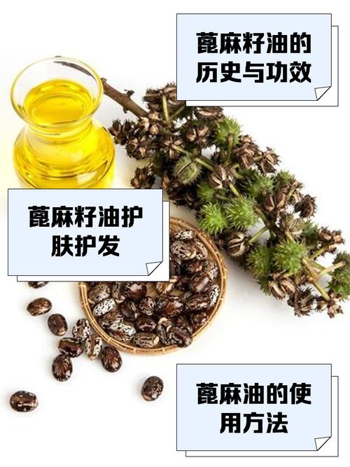 梦见蓖麻油预示哪些？深度解析其象征意义与影响
