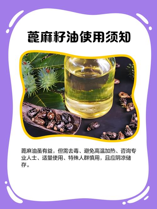 梦见蓖麻油预示哪些？深度解析其象征意义与影响