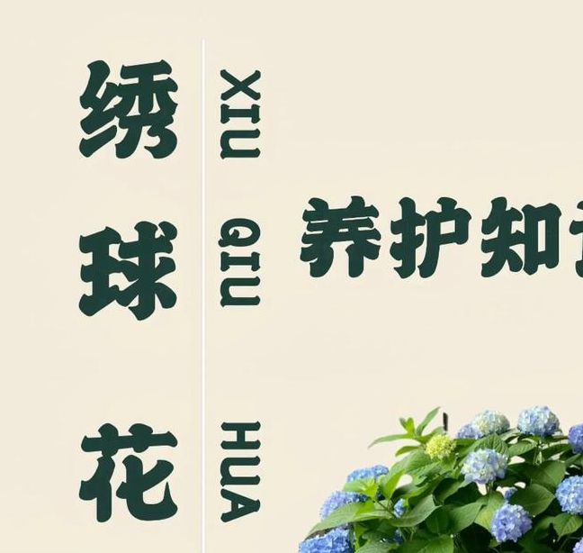 解读梦见绣球花掌握心理暗示技巧，提升生活幸福感