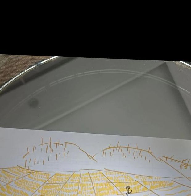 梦见土地预示哪些?解读土地梦境的潜在意义 梦见土地预示哪些?解读土地梦境的潜在意义