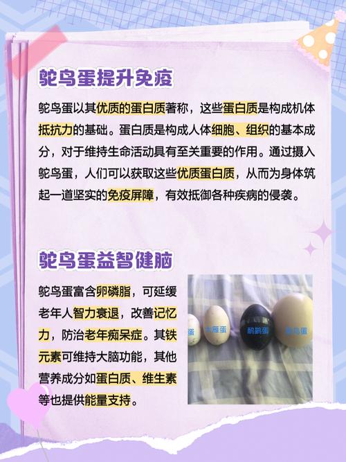 解梦鸟蛋象征意义及其对生活的影响解析