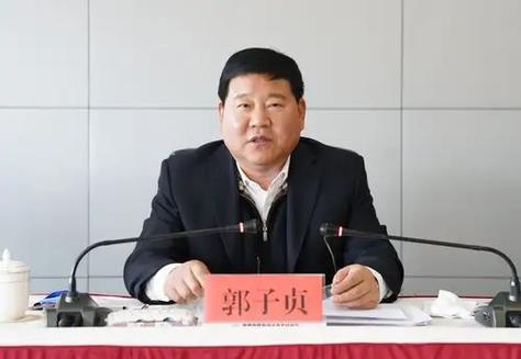 郭子贞被查：中央提级巡视背后的深层原因是什么？