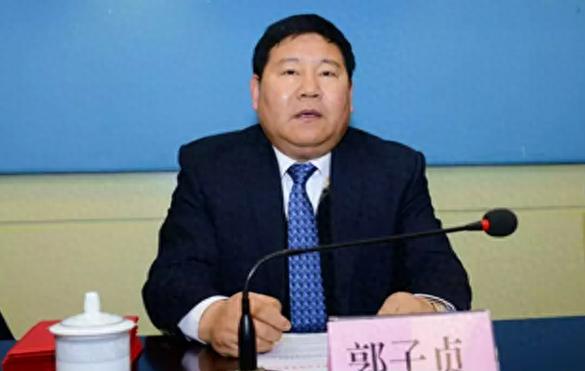 郭子贞被查：中央提级巡视背后的深层原因是什么？