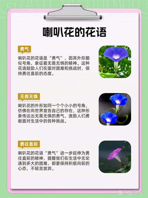 梦见牵牛花的5种象征意义,揭示内心秘密 梦见牵牛花的5种象征意义,揭示内心秘密