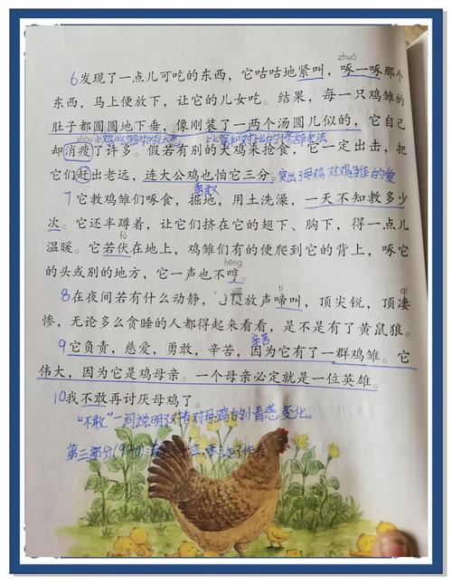 解析梦境了解梦见杀母鸡背后的心理启示与成长策略