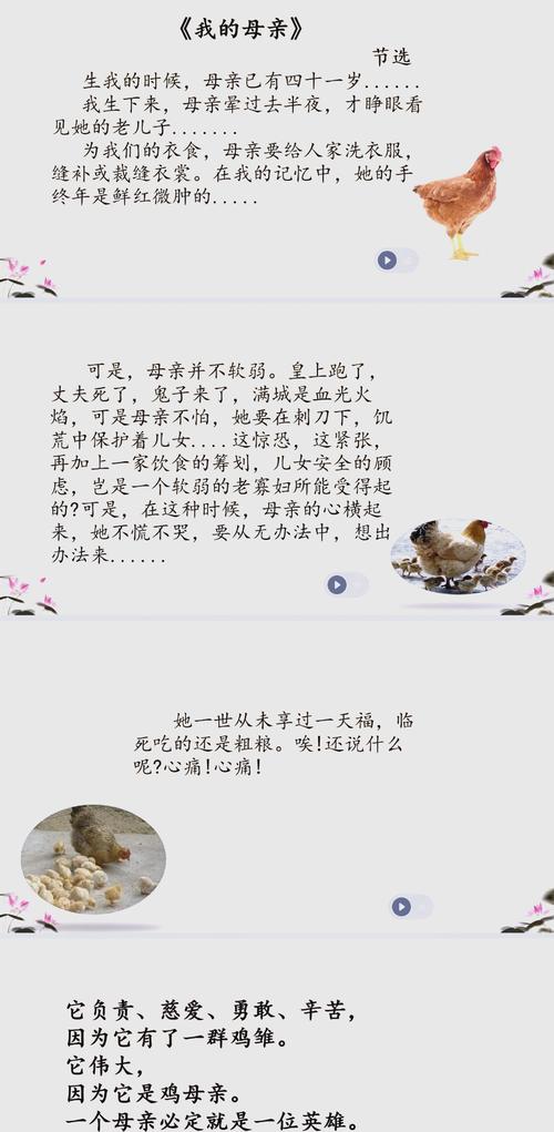 解析梦境了解梦见杀母鸡背后的心理启示与成长策略