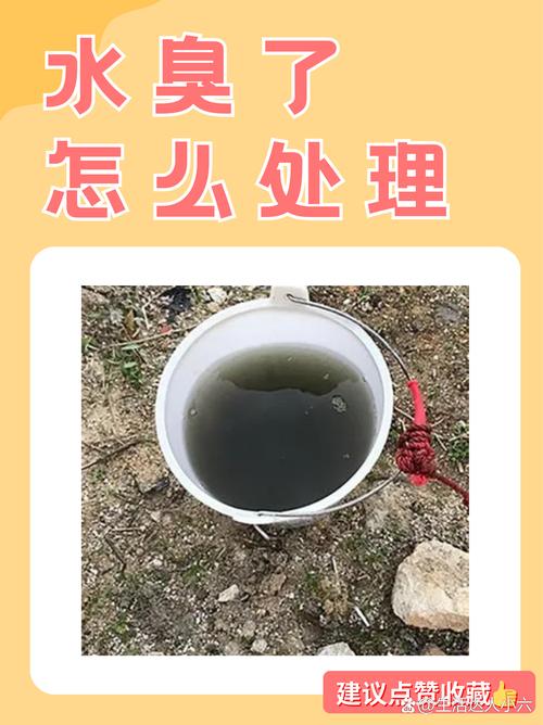 杭州多小区自来水突现臭味，神秘减免5吨水费背后真相揭晓