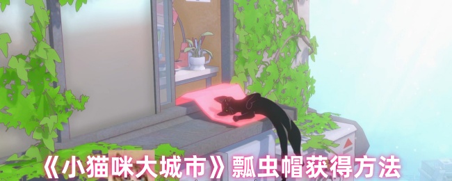 揭秘小猫咪大城市：如何轻松获得瓢虫帽？探索隐藏技巧，成为游戏达人！