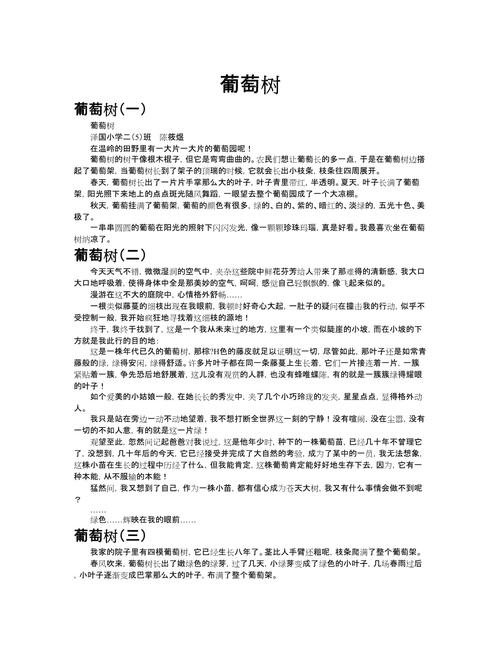 梦见葡萄树解析深度分析其象征意义及心理暗示