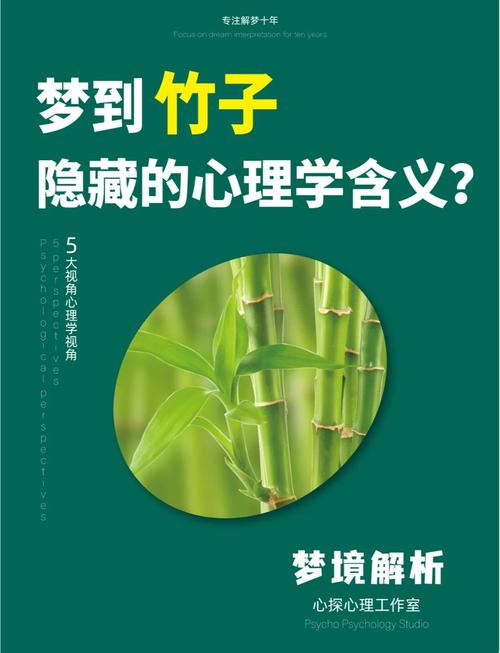 梦见竹杈暗示哪些心理状态？深入解读梦境背后含义