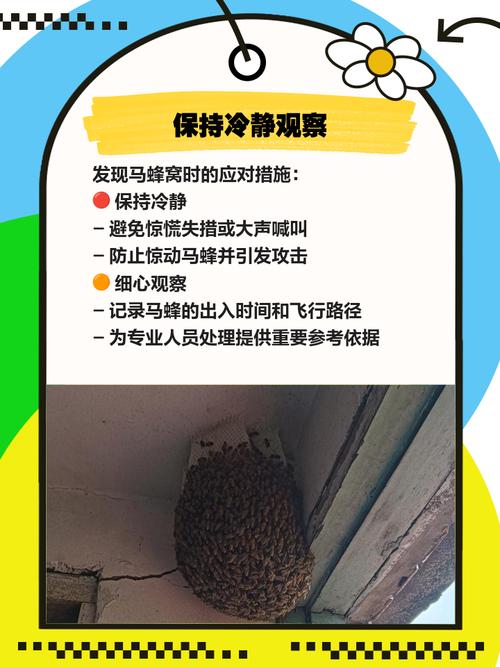 梦见蚂蜂窝代表哪些预兆？解读梦境背后的深层含义