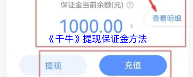 手游攻略 | 掌握千牛提现保证金技巧，轻松提升财务安全