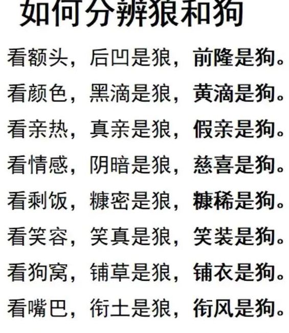梦见狼狗解析解读5种梦境含义,提升心理认知 梦见狼狗解析解读5种梦境含义,提升心理认知