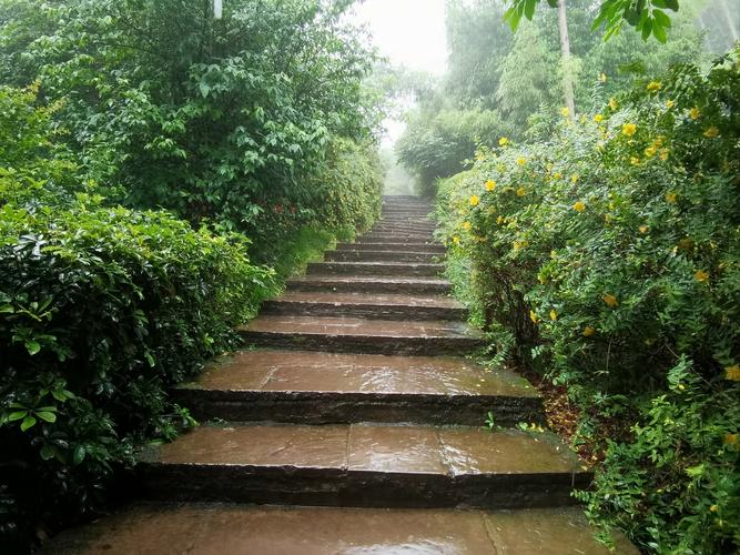 梦中雨中登山预示着哪些？探寻梦境与生活的联系