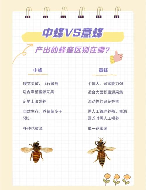 梦见蜂群预示着哪些?揭示潜在象征与高效解读方法 梦见蜂群预示着哪些?揭示潜在象征与高效解读方法