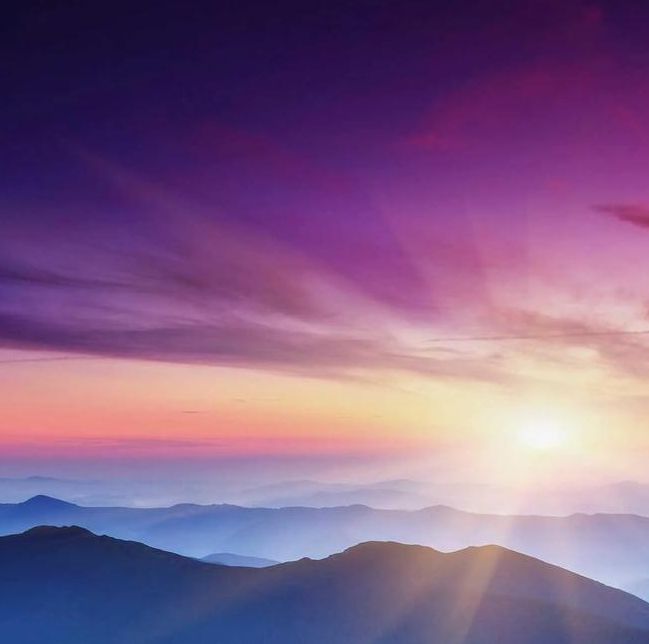 梦见花海寓意解析,探索心灵深处的祥和与美好体验! 梦见花海寓意解析,探索心灵深处的祥和与美好体验!