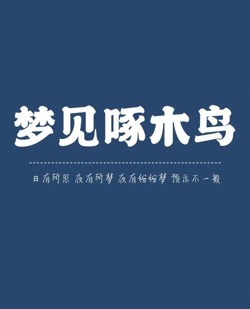 梦见被鸟啄意味着哪些?深度解析与高效解决方案 梦见被鸟啄意味着哪些?深度解析与高效解决方案
