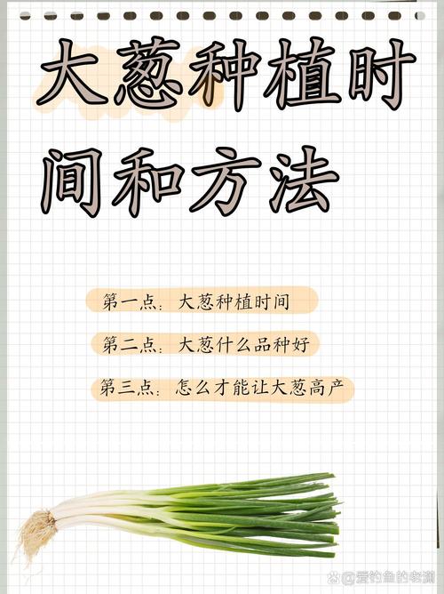 梦见种大葱象征意义详解解梦技巧vs心理分析,哪种更适合你? 梦见种大葱象征意义详解解梦技巧vs心理分析,哪种更适合你?