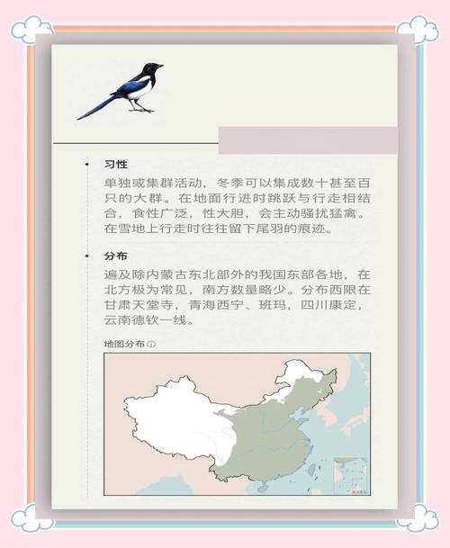 揭秘梦见乌鹊的深意,提升职业运势的实用指南 揭秘梦见乌鹊的深意,提升职业运势的实用指南