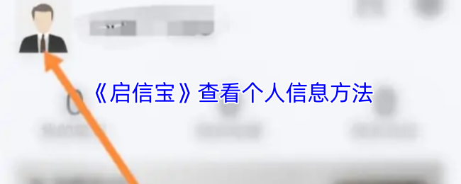 如何在启信宝中快速查询个人信息？实用技巧全解析