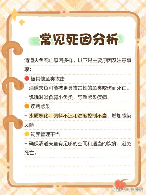 梦见清道夫的象征解析心理暗示与生活启示详解 梦见清道夫的象征解析心理暗示与生活启示详解