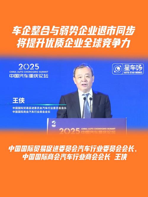 车企竞争如何坚持三条底线？王侠解析兼并重组提升全球竞争力的妙招！