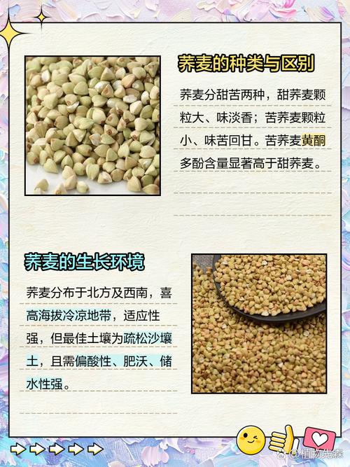 梦见荞麦的深层寓意解读,用户评价揭示内心潜在渴望! 梦见荞麦的深层寓意解读,用户评价揭示内心潜在渴望!