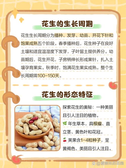 梦见花生寓意揭晓,这个隐藏信息令人惊讶! 梦见花生寓意揭晓,这个隐藏信息令人惊讶!