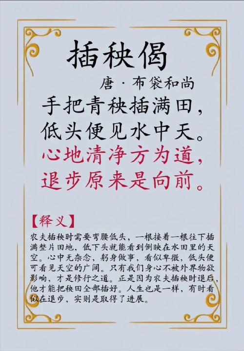 梦见秧苗寓意深远,解读梦境背后的情感共鸣与未来指引 梦见秧苗寓意深远,解读梦境背后的情感共鸣与未来指引