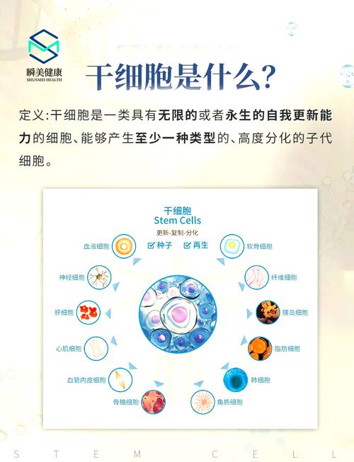 揭开科技谜团：干细胞如何培育出完整血管的‘迷你’肺？