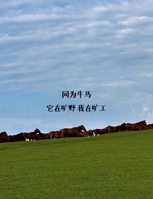 梦见马牛预示哪些？解读动物寓意及心灵启示的关键