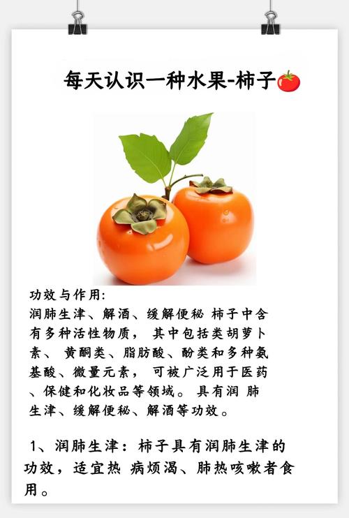 梦见柿子解析象征意义及心理暗示深度剖析 梦见柿子解析象征意义及心理暗示深度剖析