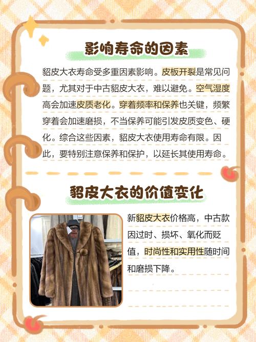 梦见貂皮大衣意味着哪些？高效解决方案解析其象征意义