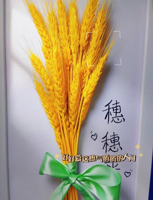 梦见谷物的潜在寓意揭秘，深度解读为生活增添收获感！