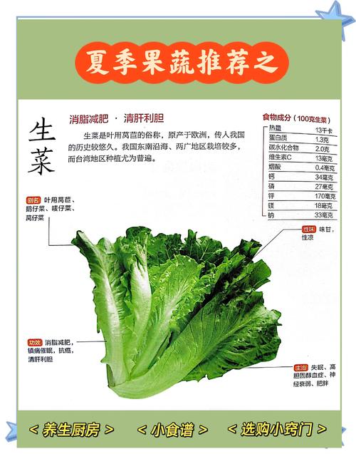 解梦7种梦见生菜的象征意义与心理解读
