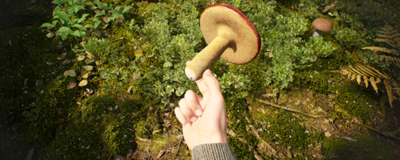 深入揭秘蘑菇猎人模拟器游戏亮点 | 单游攻略助你快速掌握技巧，增强游戏体验！