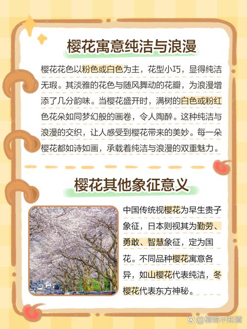 梦见樱花盛开解析其象征意义和心理启示
