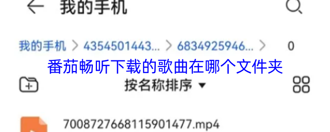 揭秘番茄畅听歌曲存储路径：快速查找你的下载音乐