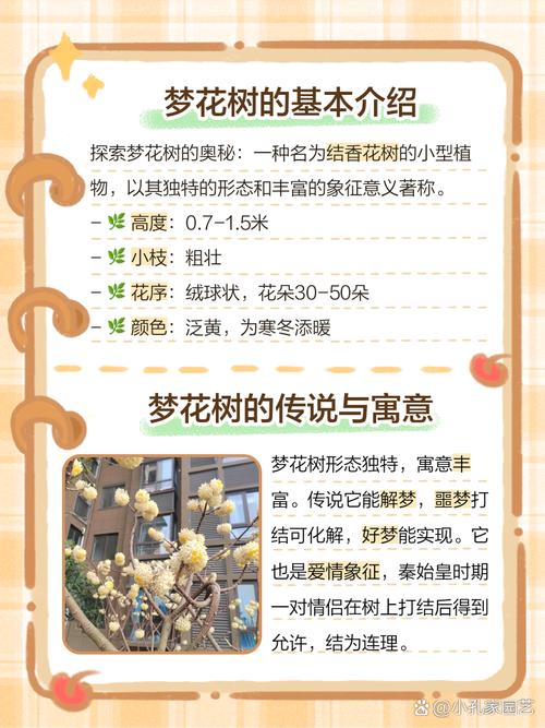 梦见树木开花预示哪些？揭示梦境背后的意义