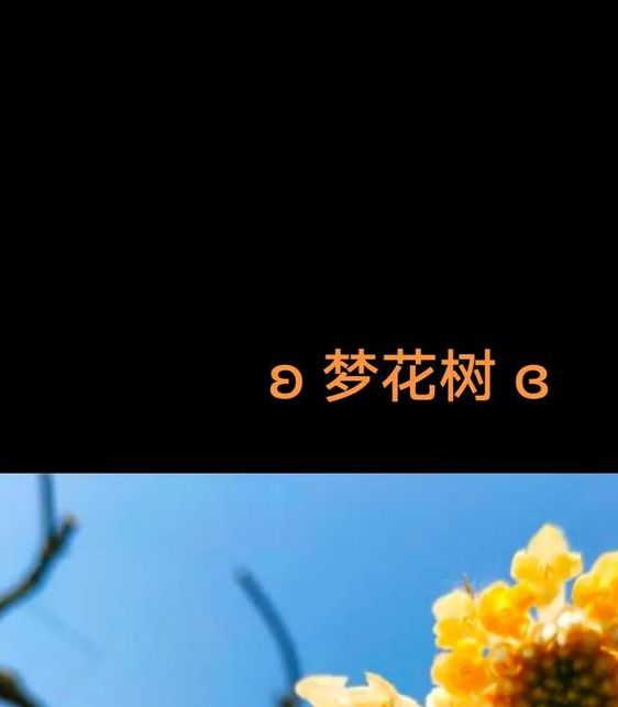 梦见树木开花预示哪些？揭示梦境背后的意义