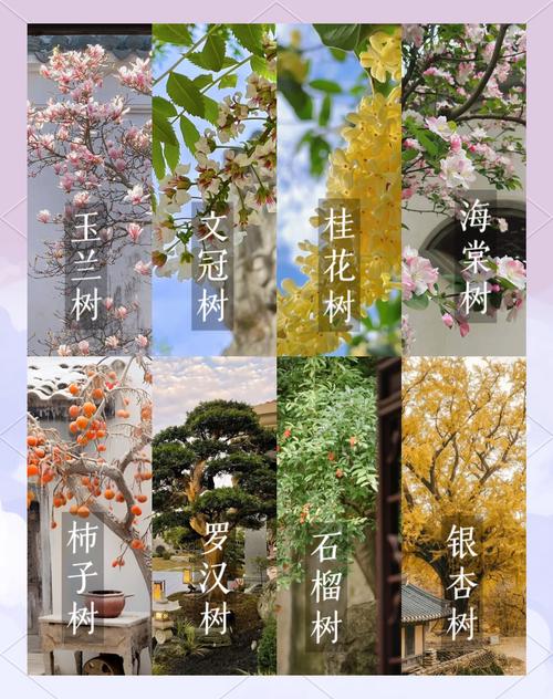 梦见树木开花预示哪些？揭示梦境背后的意义