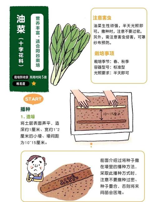 如何在非生物因素中获取全农作物菜谱？探索最佳位置攻略！
