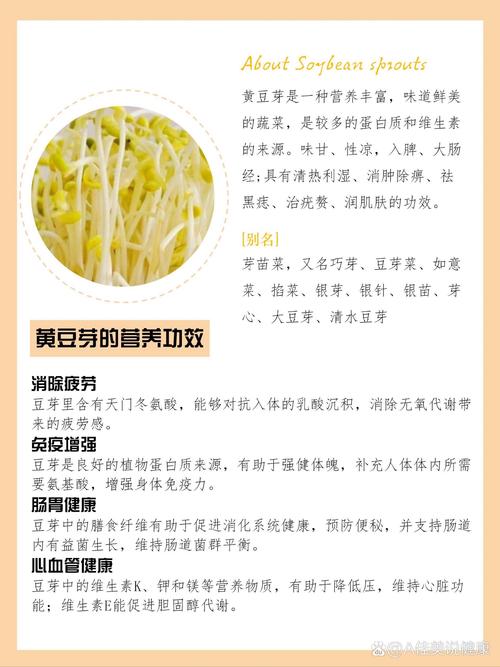 梦见豆芽象征意义解析揭示健康生活新思路 梦见豆芽象征意义解析揭示健康生活新思路