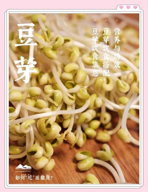 梦见豆芽象征意义解析揭示健康生活新思路 梦见豆芽象征意义解析揭示健康生活新思路