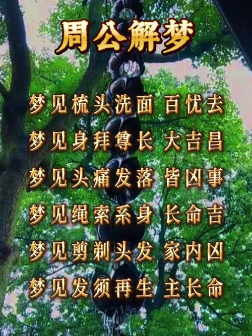 梦见别人给我梳头意味着哪些？解读梦境背后隐藏的心理暗示