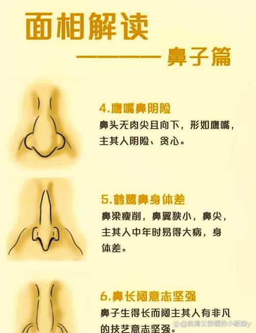 梦见鼻柱的含义解析 vs 现代解梦哪个更贴近生活实用？