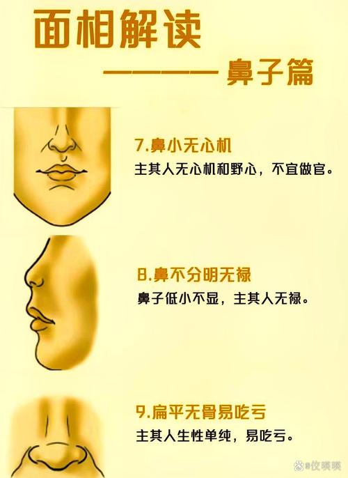 梦见鼻柱的含义解析 vs 现代解梦哪个更贴近生活实用？