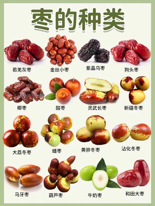 梦见大枣的5种寓意解读，揭密梦境背后的现实启示